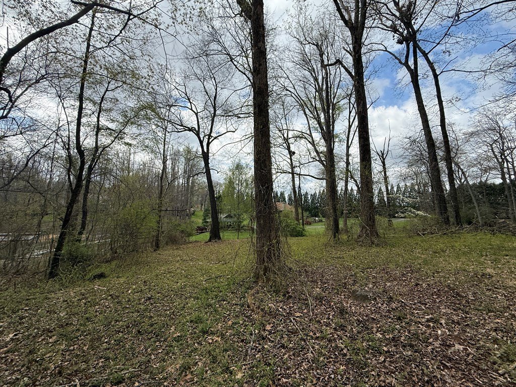 Picture 22