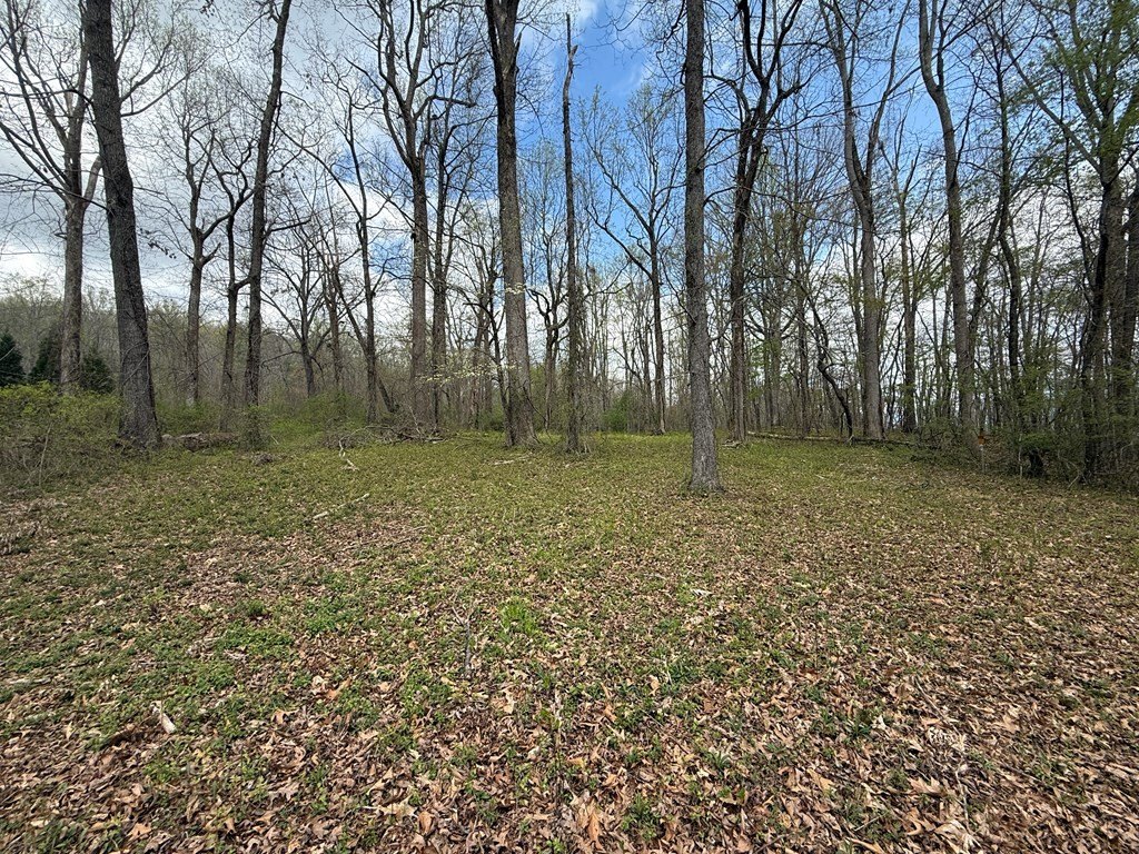 Picture 20