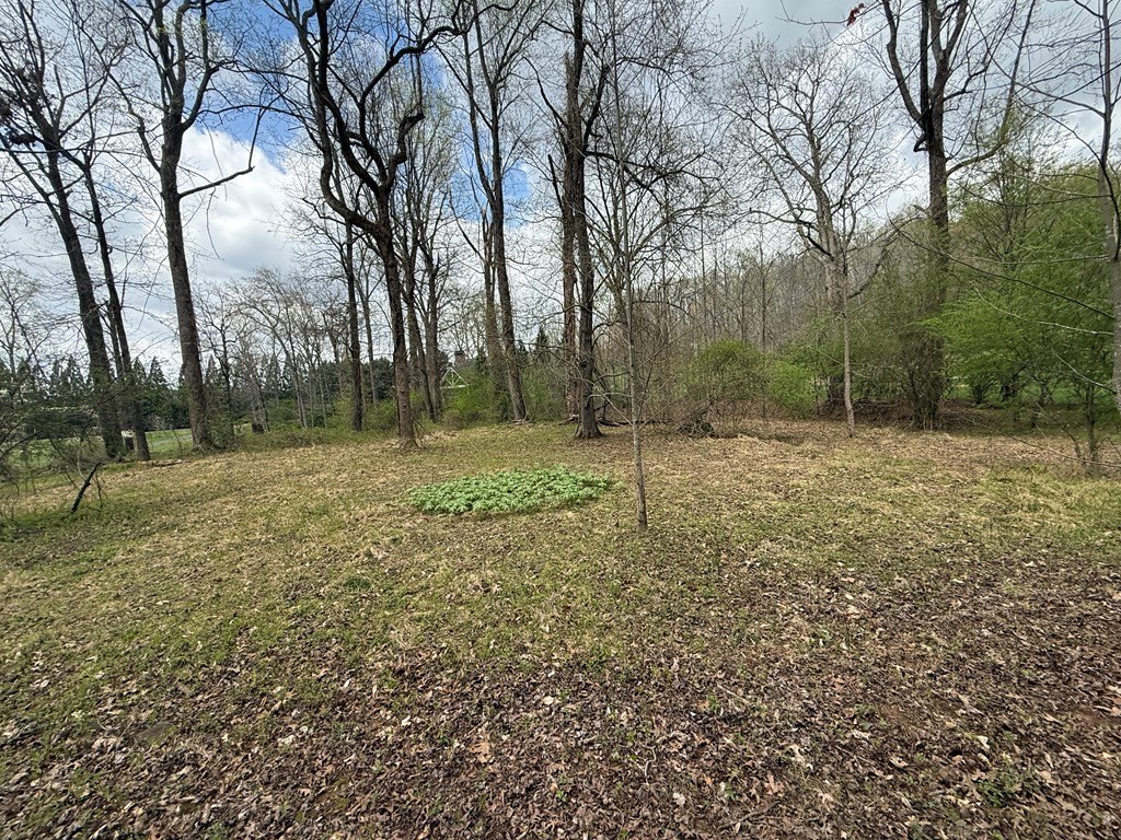 Picture 24