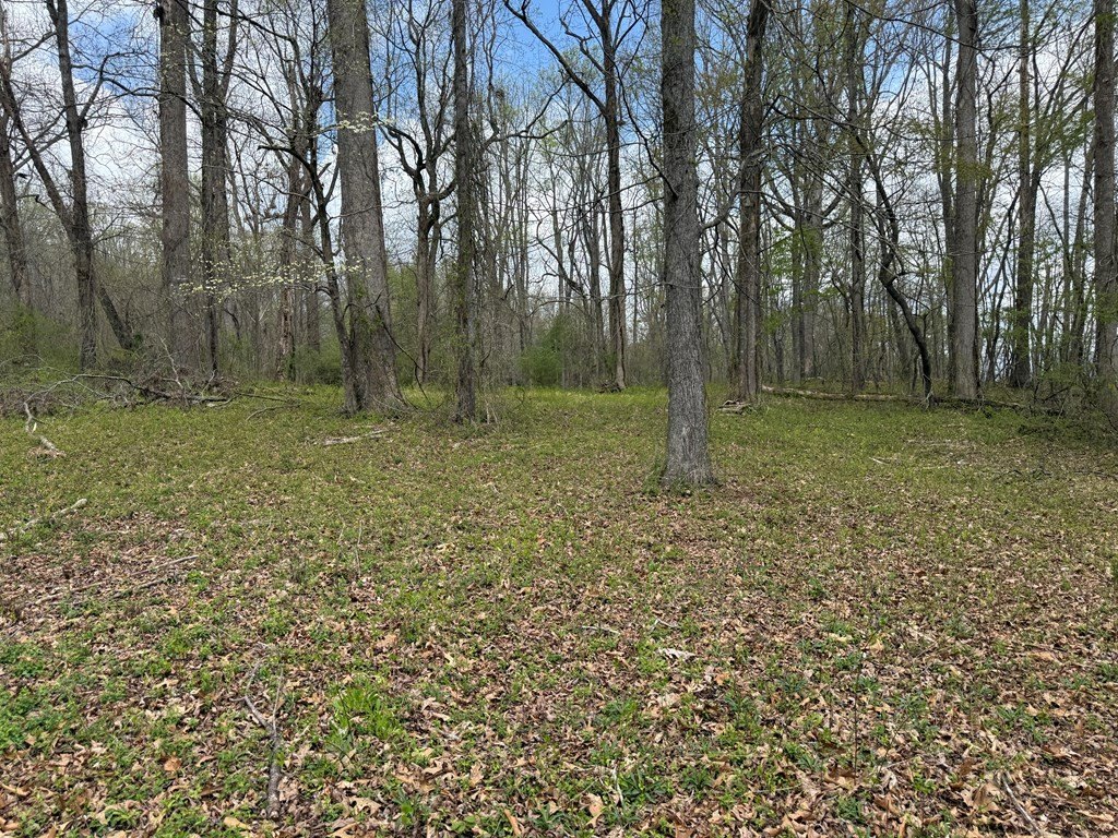 Picture 19