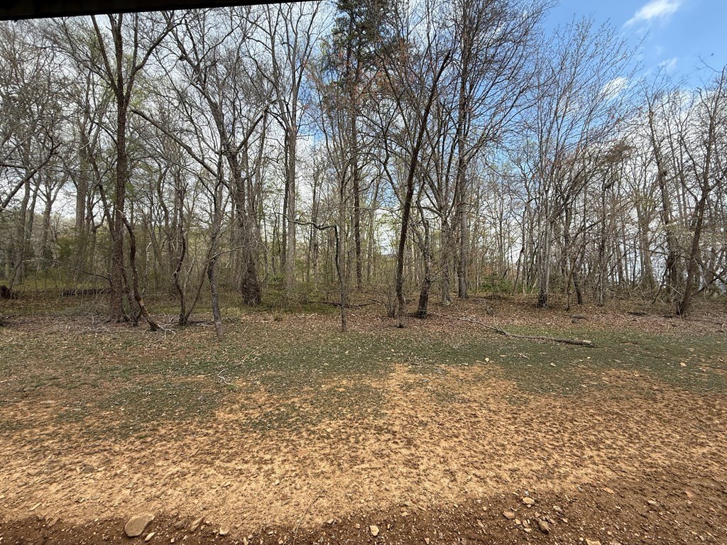 Picture 18