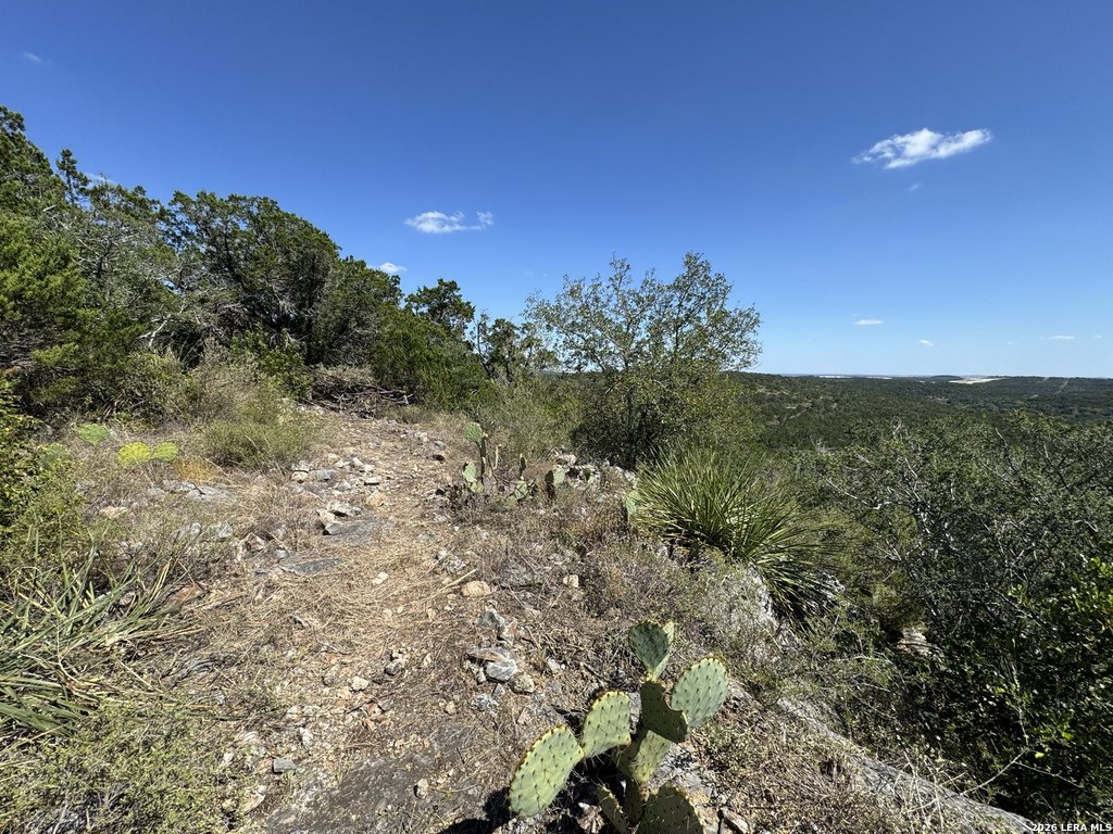 Picture 31