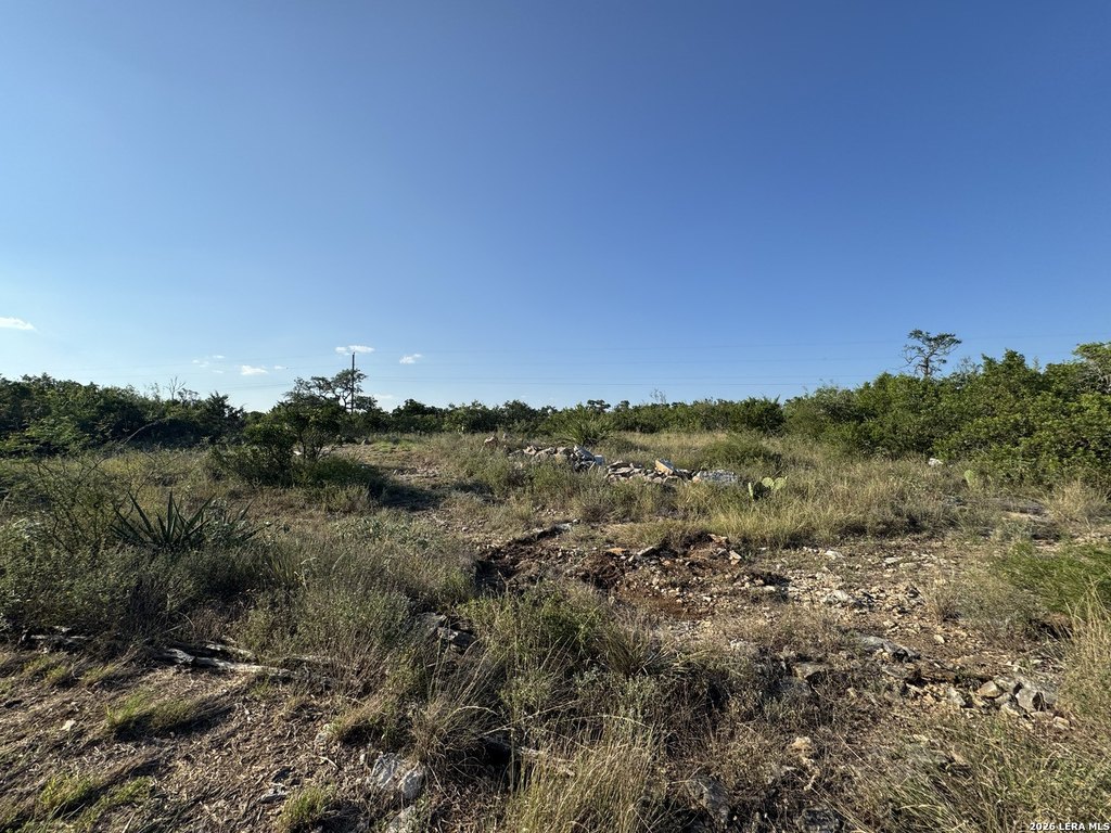 Picture 24