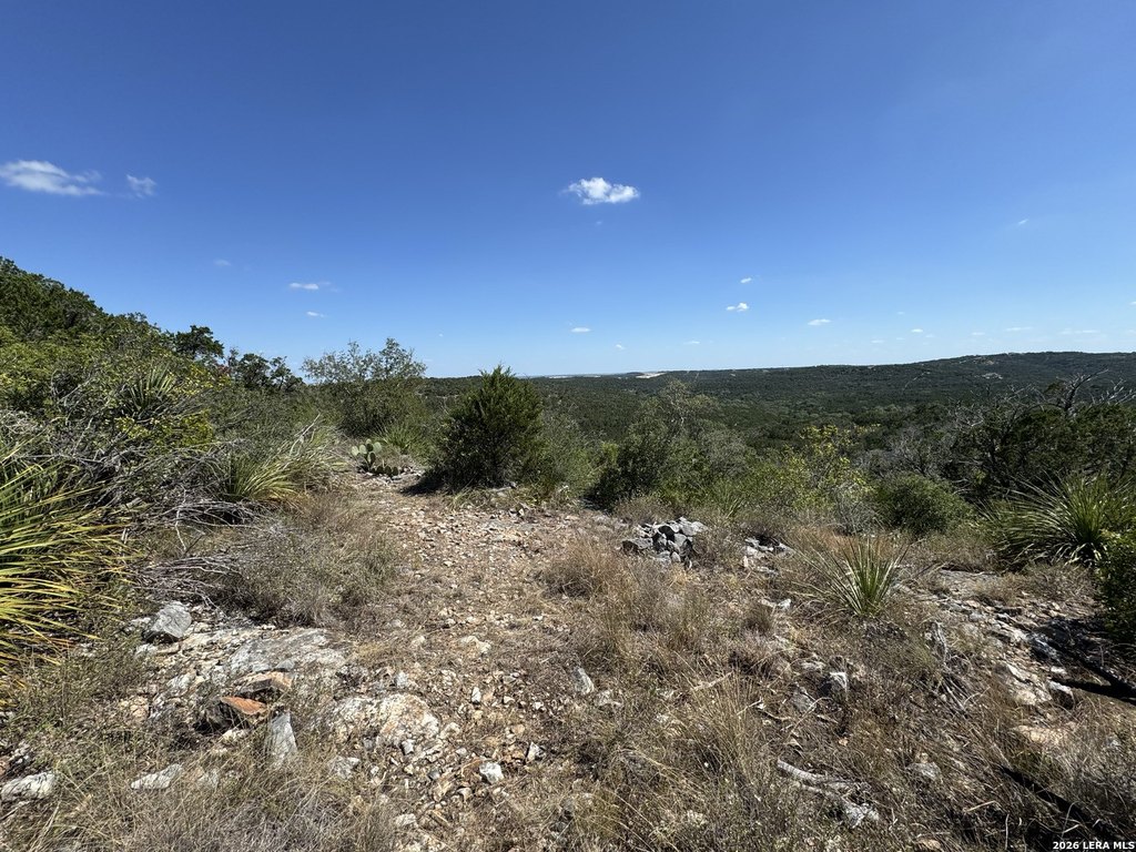 Picture 30