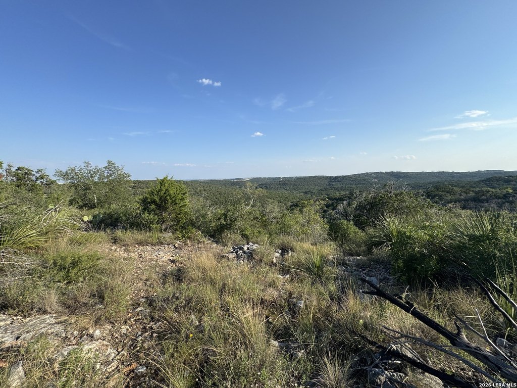 Picture 22