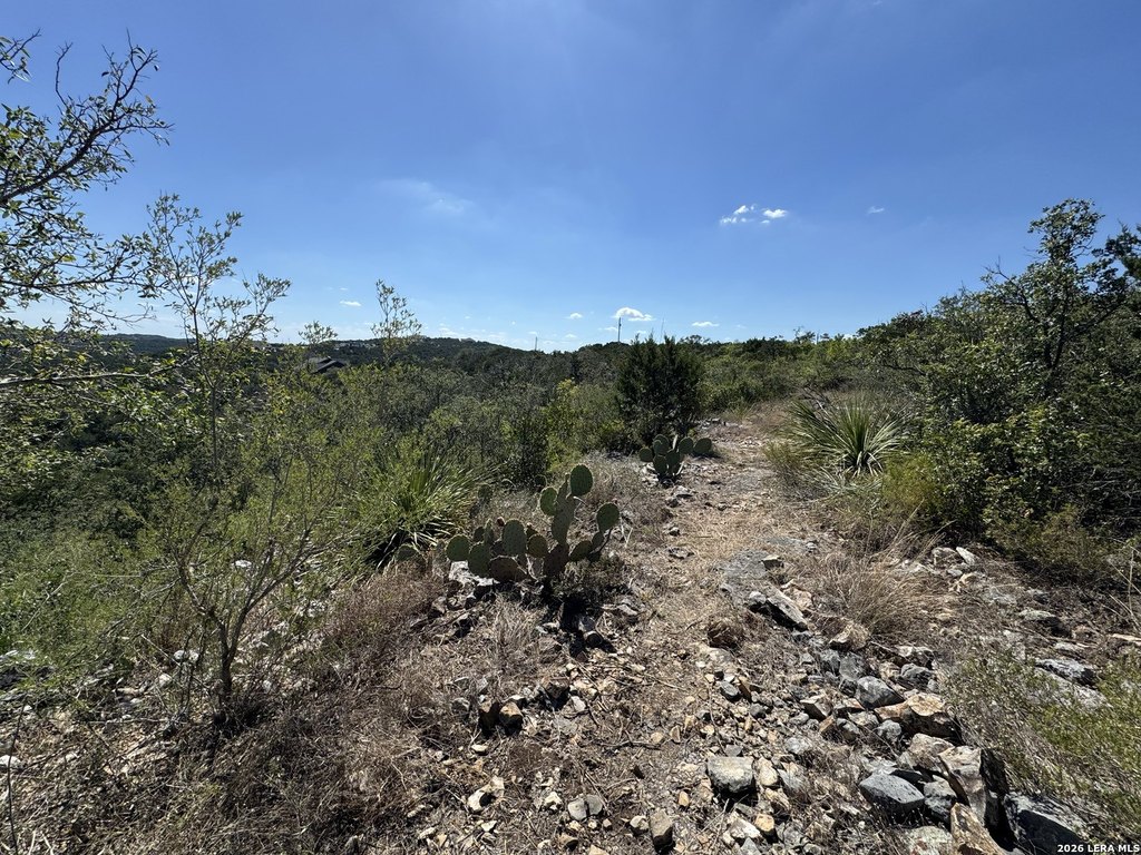 Picture 33