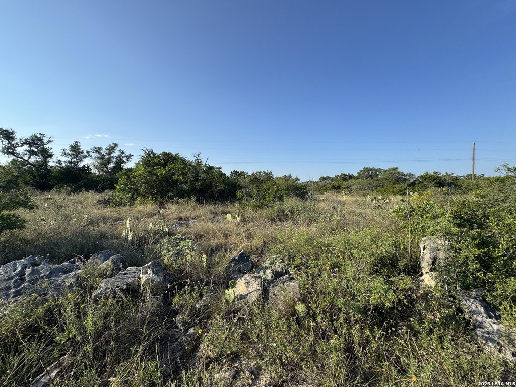 Picture 28