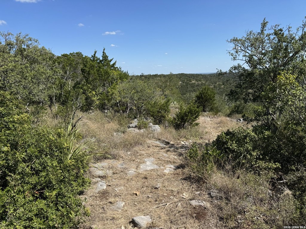 Picture 29