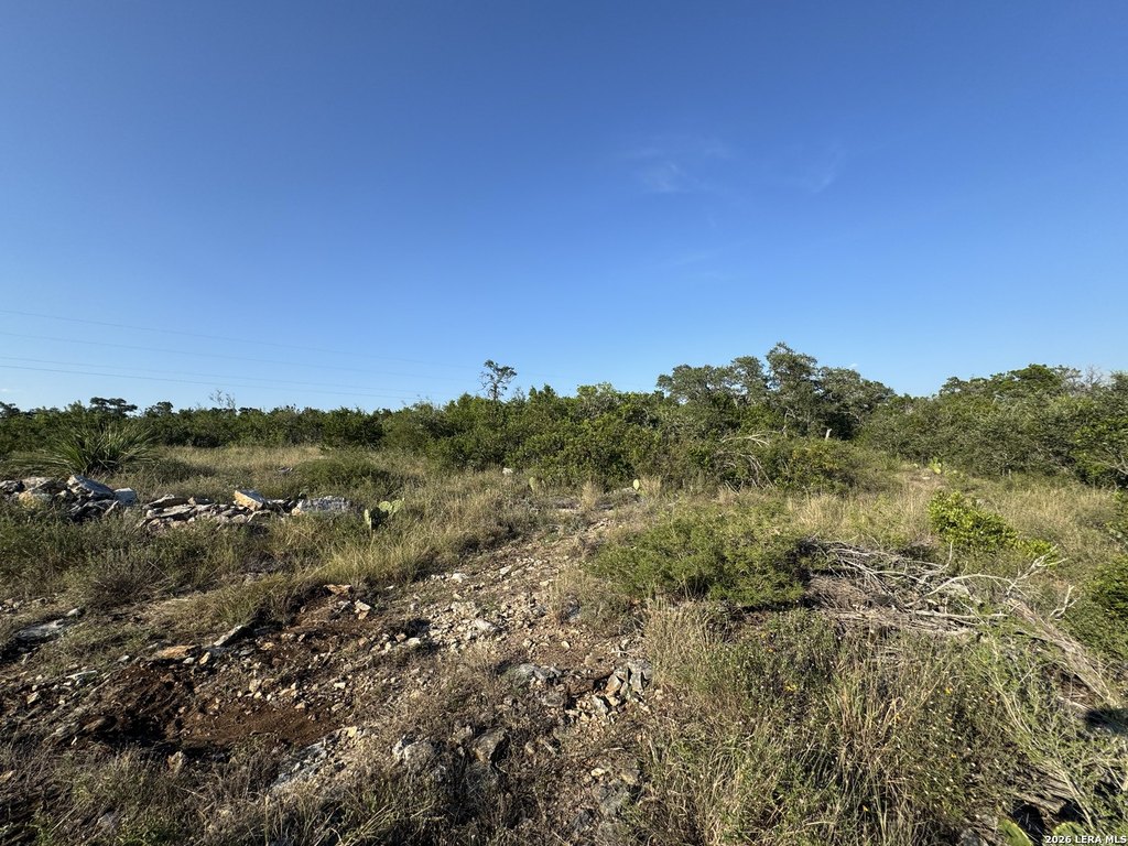 Picture 25