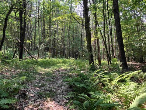 Claremont Land with Varied Terrain