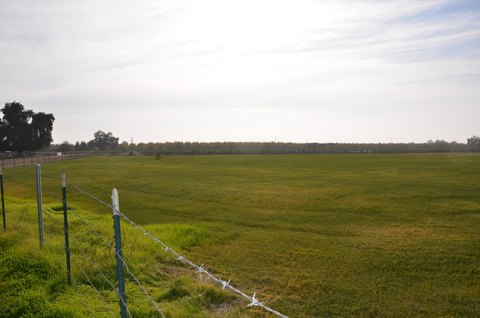 Visalia Land for Dream Home