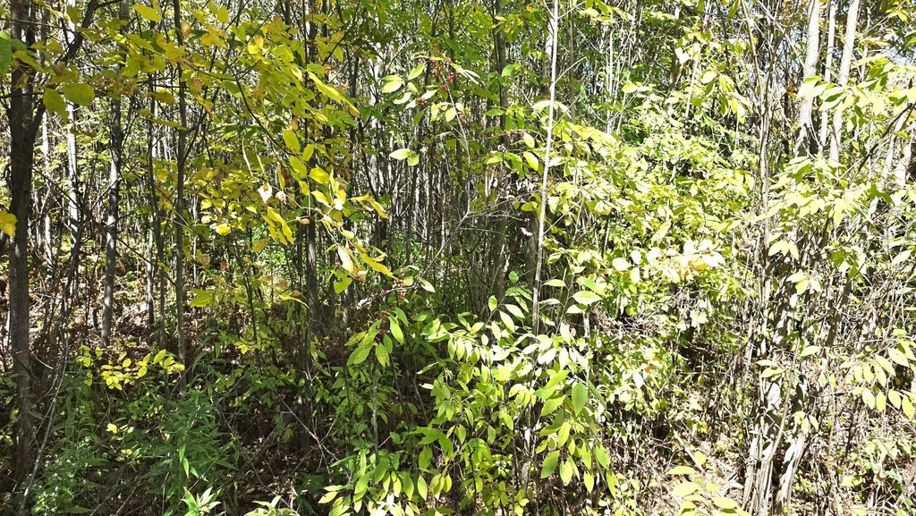 Picture 12