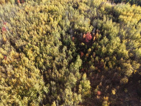 Land, Winter, WI