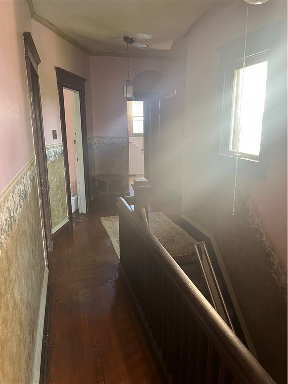 Picture 17