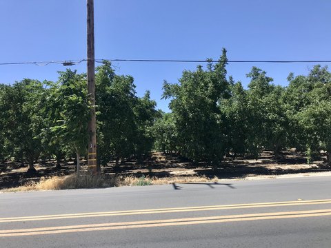 Farmersville Land with Walnut Grove