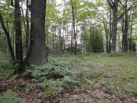 LAND - Lake, MI