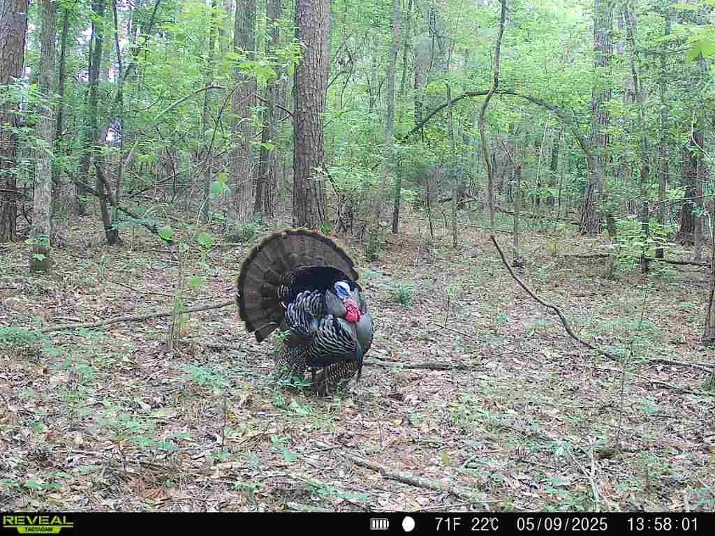 Picture 2