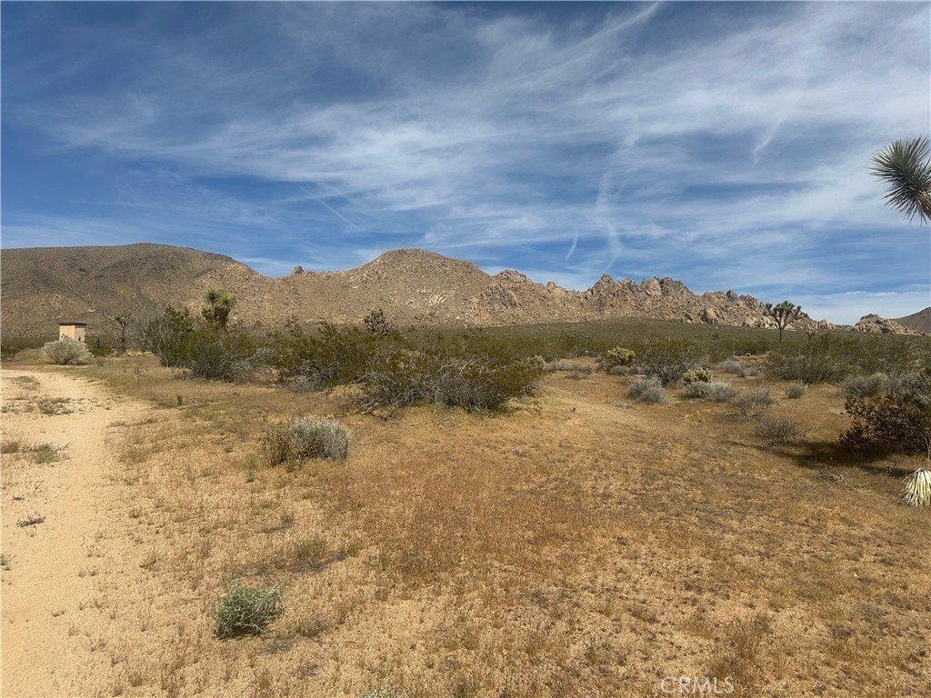 Picture 10