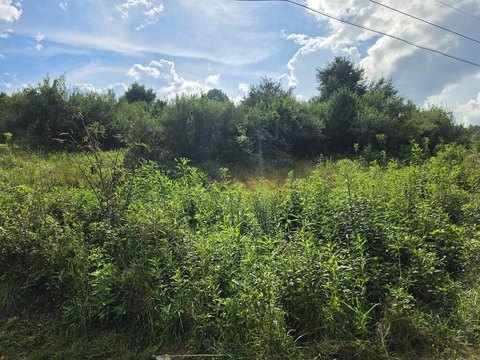 Land, Galax, VA