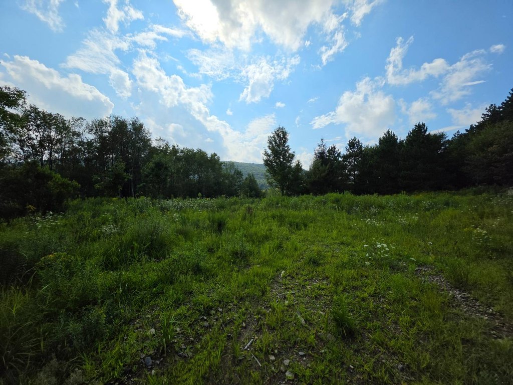 Picture 6