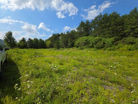 Land, Lapeer, NY