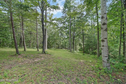 Lots & Acreage, Fairfield Glade, TN