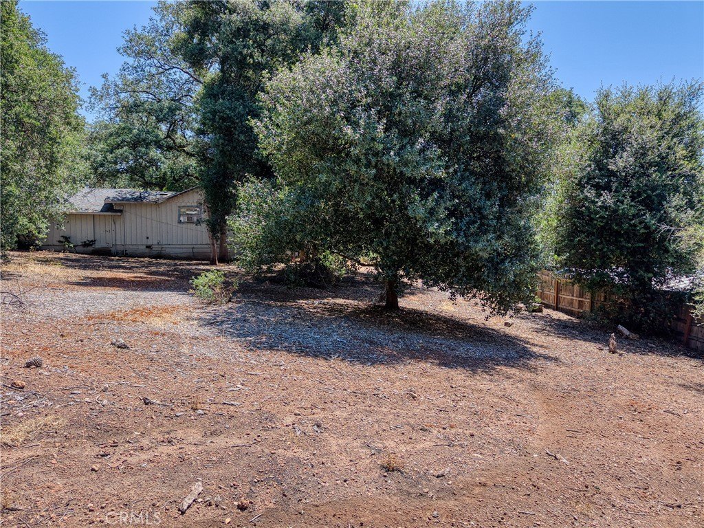 Picture 16