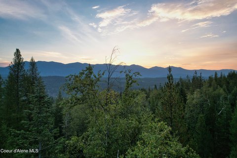 Forested Land with Spring