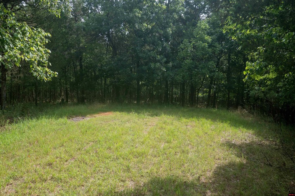 Picture 3