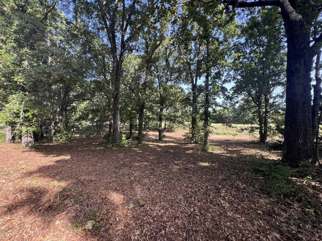 Picture 19