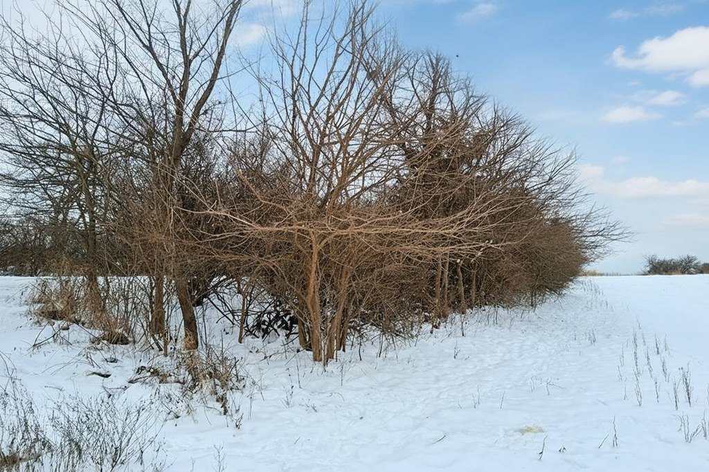 Picture 4