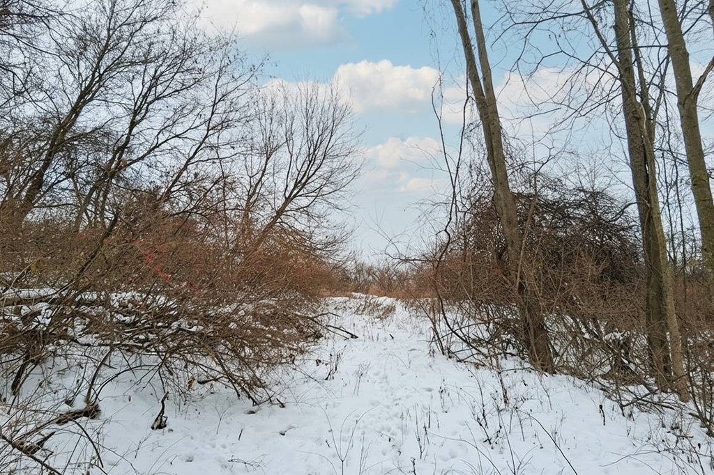 Picture 7
