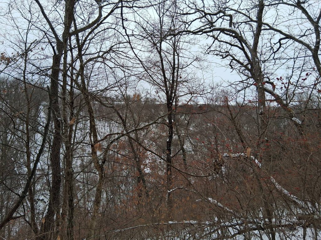 Picture 3