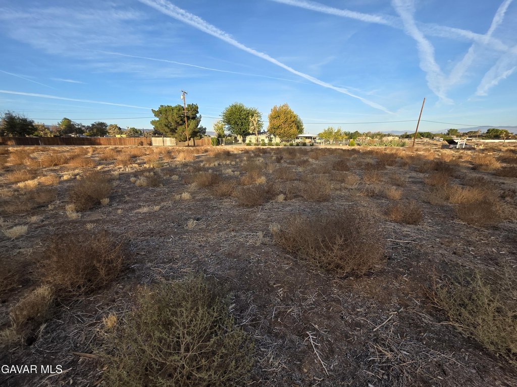 Picture 16