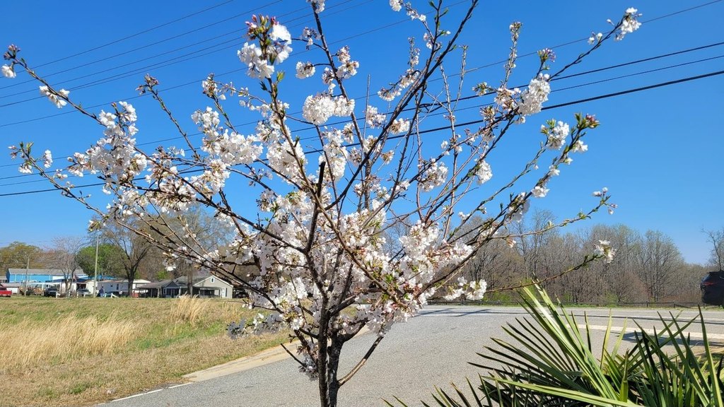 Picture 24