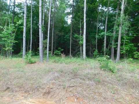 LAND - Gilmer, TX