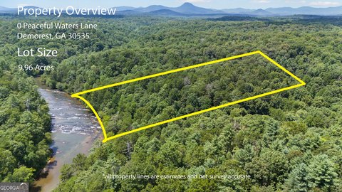 Chattahoochee Riverfront Estate Opportunity