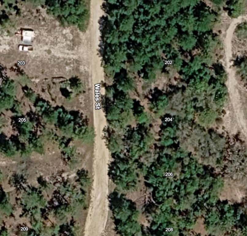 Picture 2