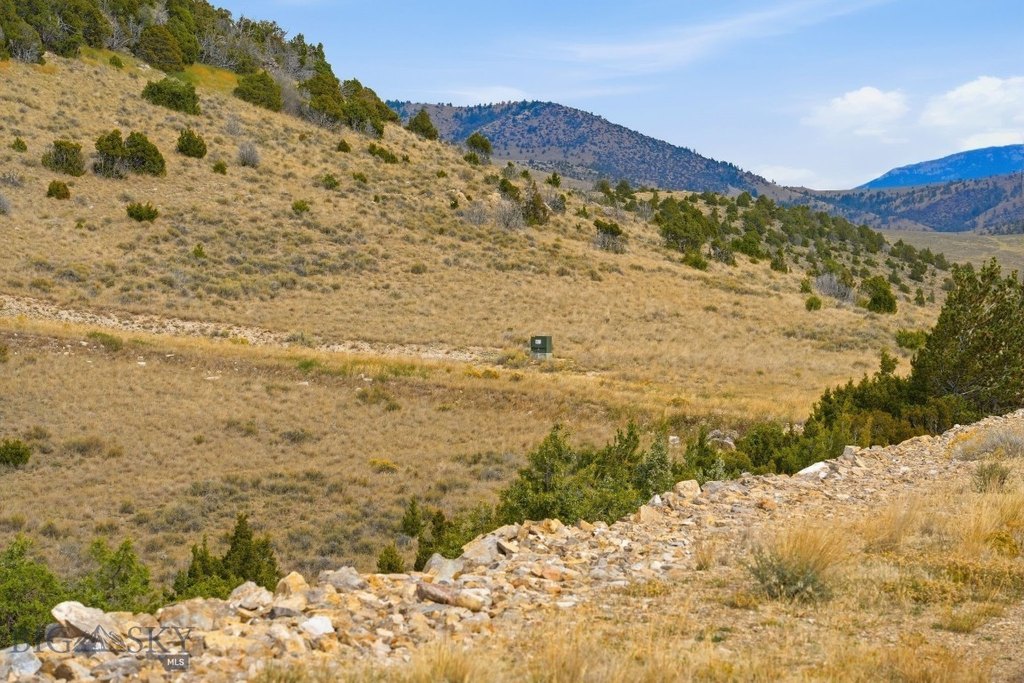 Picture 25