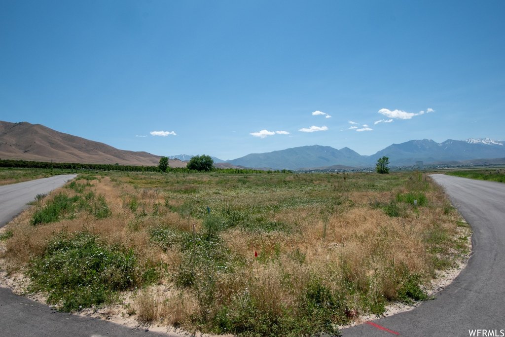Picture 8