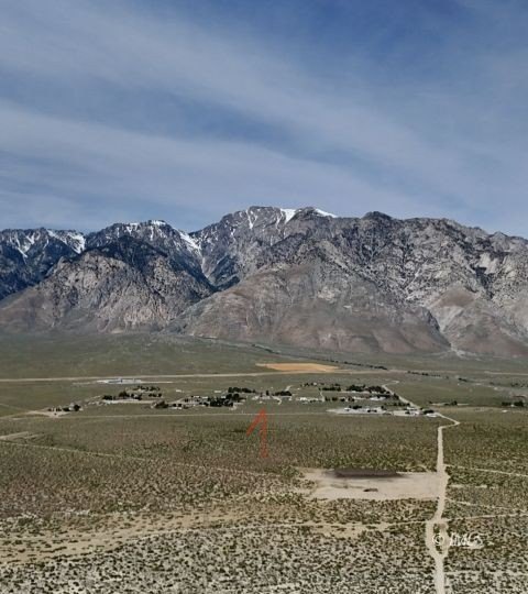 Picture 14