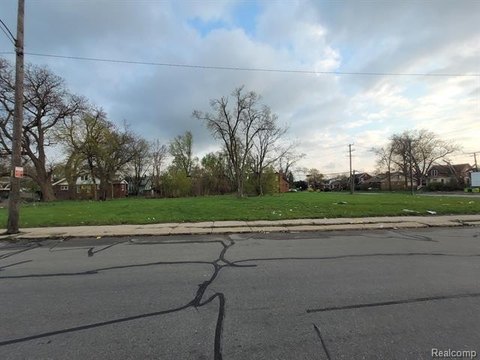 Vacant Land in Detroit