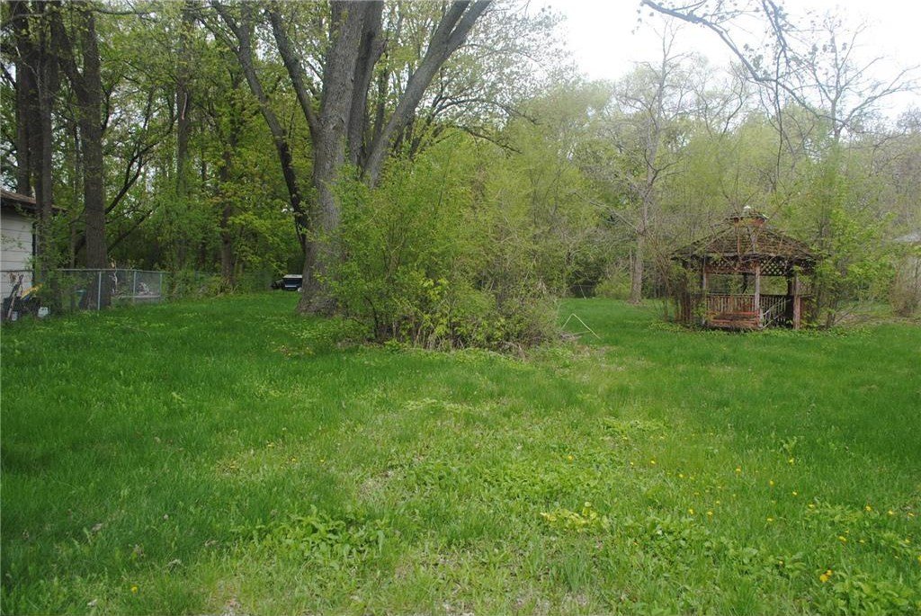Picture 6