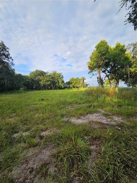 Land, GENEVA, FL