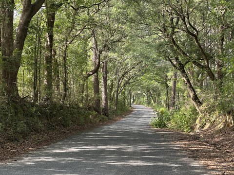 80 Acres in Baker, Florida