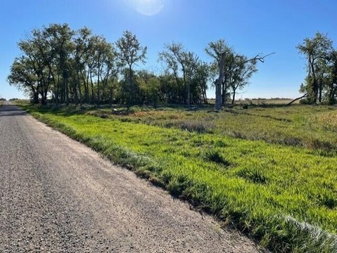 Wooded Corner Farmland Lot