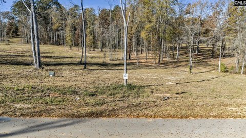 Lakefront Subdivision Land