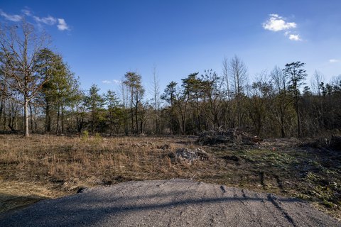Land, Lookout Mountain, GA