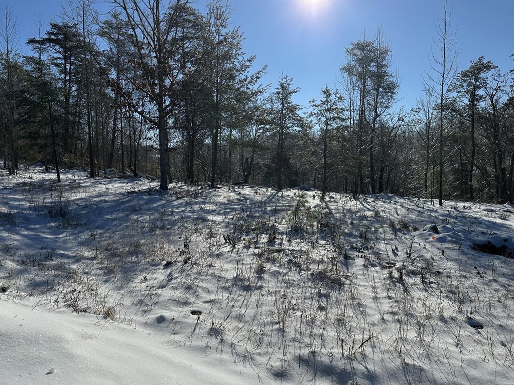 Picture 4