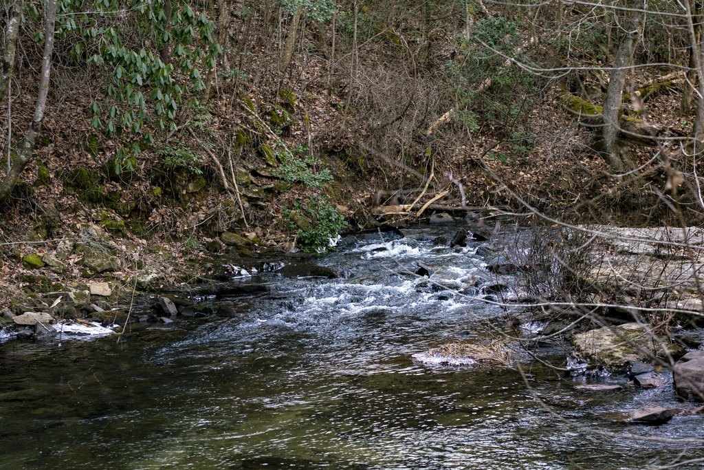 Picture 2